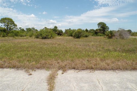 Land in Placida, Florida № 2159681 - photo 5