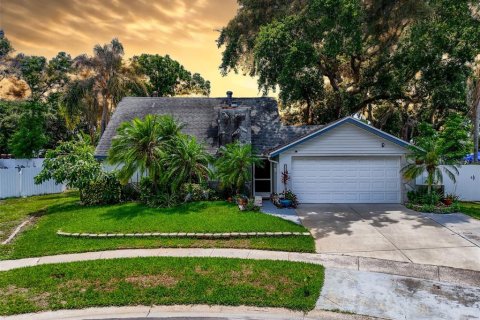 House in Tampa, Florida 4 bedrooms, 186.92 sq.m. № 1785540 - photo 1