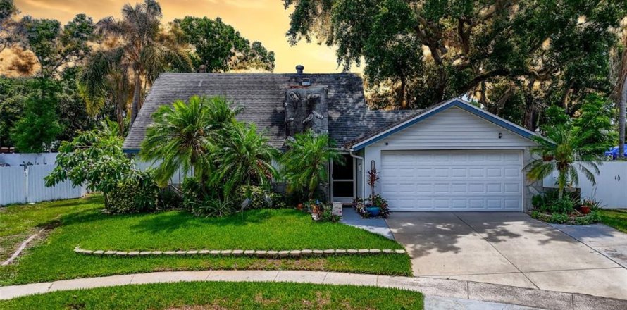 House in Tampa, Florida 4 bedrooms, 186.92 sq.m. № 1785540
