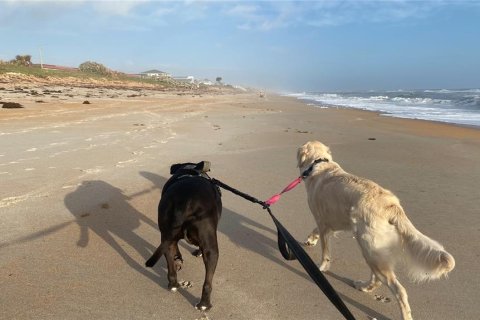 Villa ou maison à vendre à Flagler Beach, Floride: 2 chambres, 141.21 m2 № 1444251 - photo 20