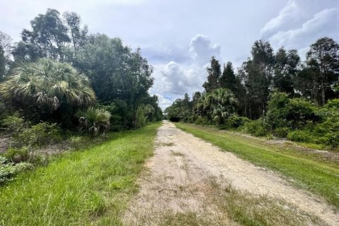 Terreno en venta en Punta Gorda, Florida № 2163174 - foto 2