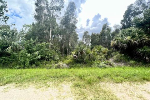 Land in Punta Gorda, Florida № 2163174