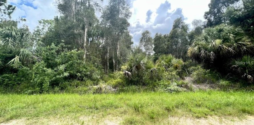 Terreno en Punta Gorda, Florida № 2163174