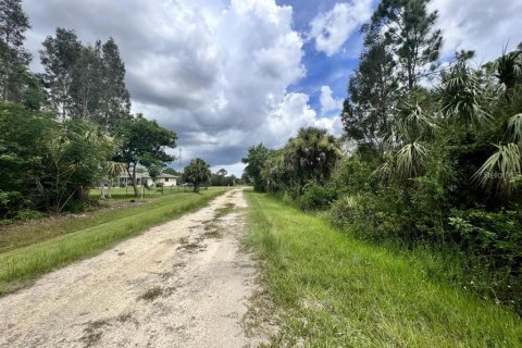 Terreno en venta en Punta Gorda, Florida № 2163174 - foto 3