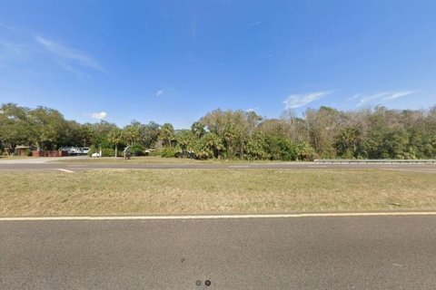 Land in Orlando, Florida № 2163562 - photo 2