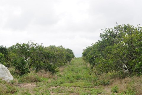 Terreno en venta en Avon Park, Florida № 2219096 - foto 6