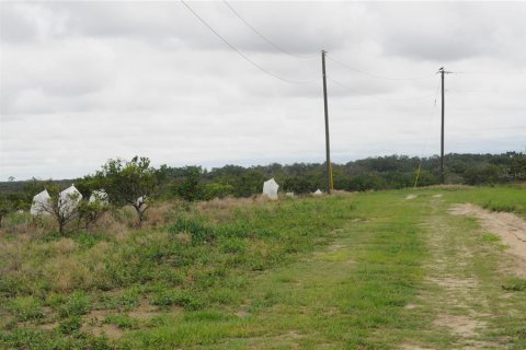 Terreno en venta en Avon Park, Florida № 2219096 - foto 3