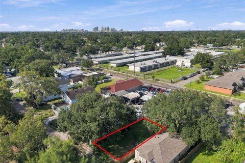 Land in Tampa, Florida № 2391469 - photo 6