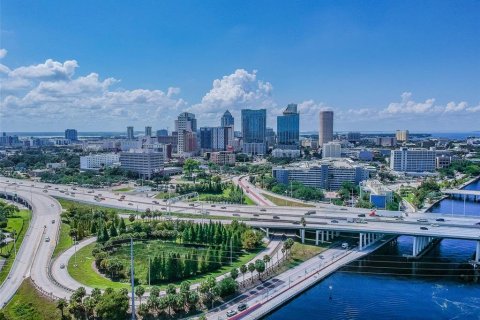 Land in Tampa, Florida № 2391469 - photo 8