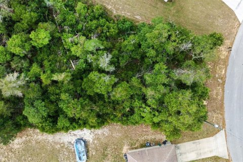 Terrain à vendre à Ocala, Floride № 2230399 - photo 4