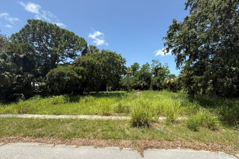 Terrain à Titusville, Floride № 2103974