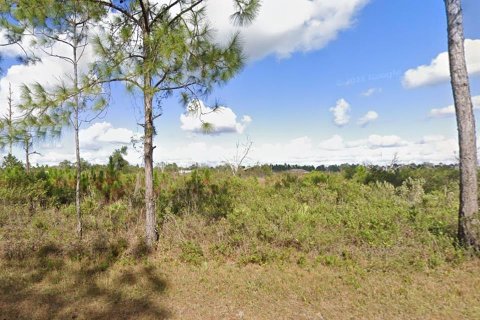 Land in Indian lake estates, Florida № 2161133
