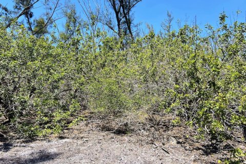 Terreno en venta en Englewood, Florida № 1574290 - foto 6