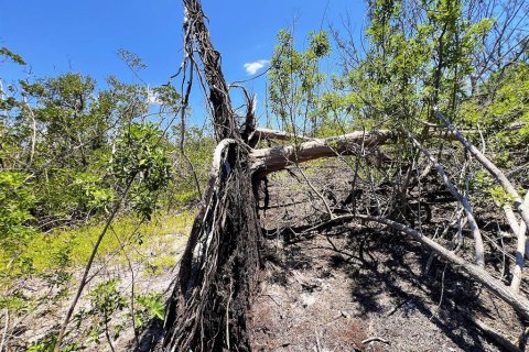 Terreno en venta en Englewood, Florida № 1574290 - foto 15
