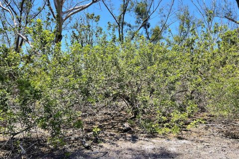 Terreno en venta en Englewood, Florida № 1574290 - foto 12