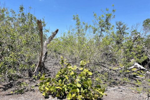 Terreno en venta en Englewood, Florida № 1574290 - foto 21