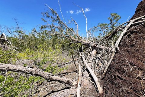 Terreno en venta en Englewood, Florida № 1574290 - foto 8
