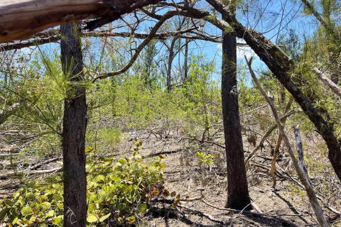 Terreno en venta en Englewood, Florida № 1574290 - foto 7