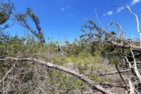 Terreno en venta en Englewood, Florida № 1574290 - foto 5