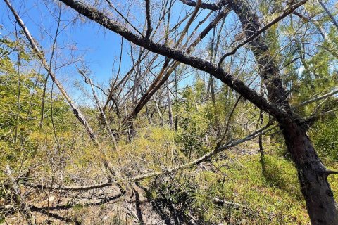 Terreno en venta en Englewood, Florida № 1574290 - foto 10