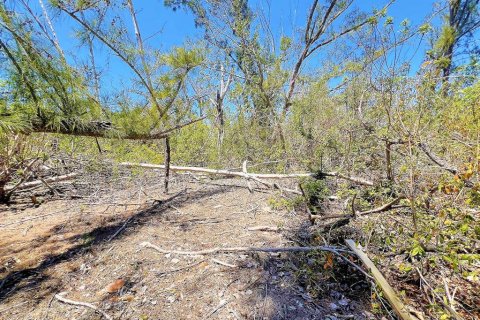 Terreno en venta en Englewood, Florida № 1574290 - foto 2