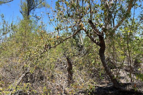 Terreno en venta en Englewood, Florida № 1574290 - foto 18