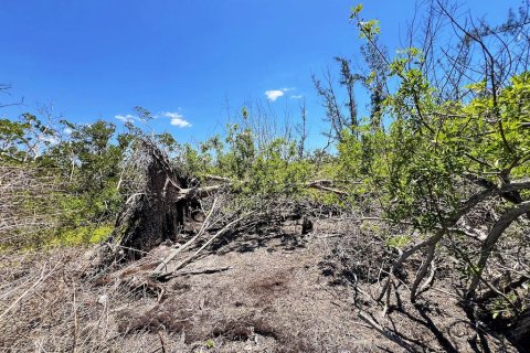 Terreno en venta en Englewood, Florida № 1574290 - foto 14