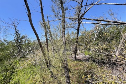 Terreno en venta en Englewood, Florida № 1574290 - foto 20