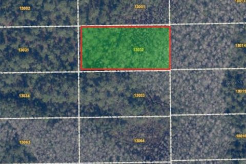 Terreno en Orlando, Florida № 2167759