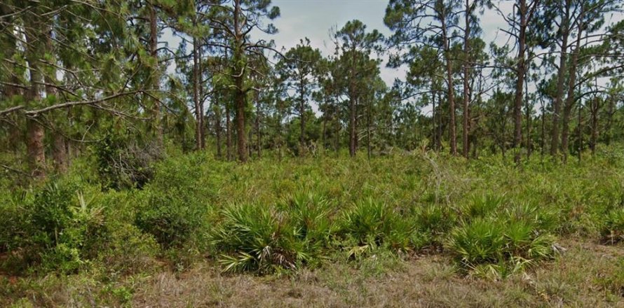Land in Port Charlotte, Florida № 2228655