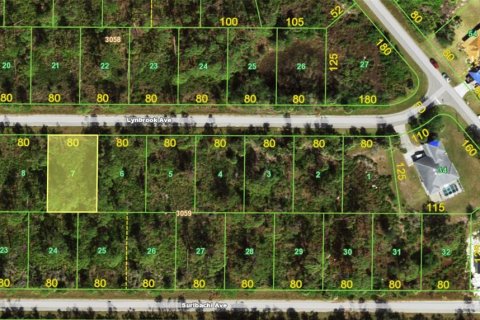 Land in Port Charlotte, Florida № 2228655 - photo 3