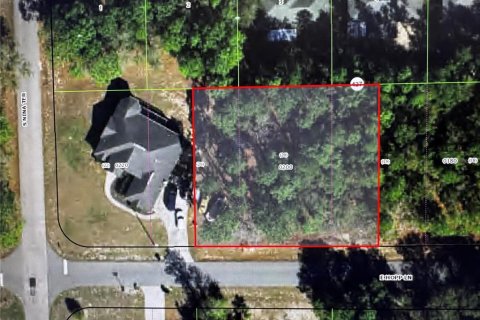 Land in Inverness, Florida № 2161499 - photo 5