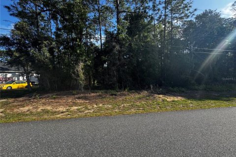Land in Inverness, Florida № 2161499