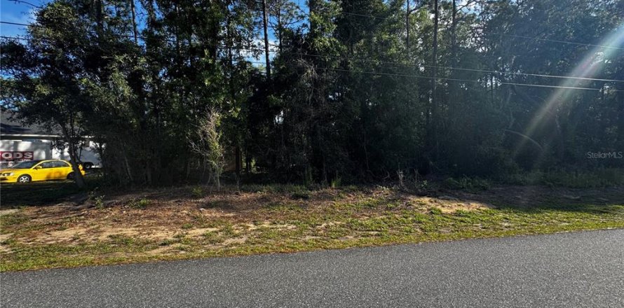 Land in Inverness, Florida № 2161499