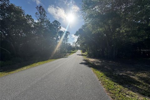 Land in Inverness, Florida № 2161499 - photo 4