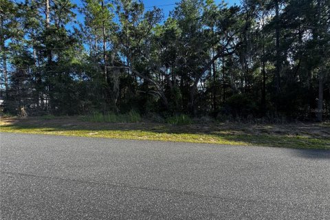 Land in Inverness, Florida № 2161499 - photo 2
