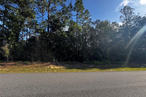 Land in Inverness, Florida № 2161499 - photo 3