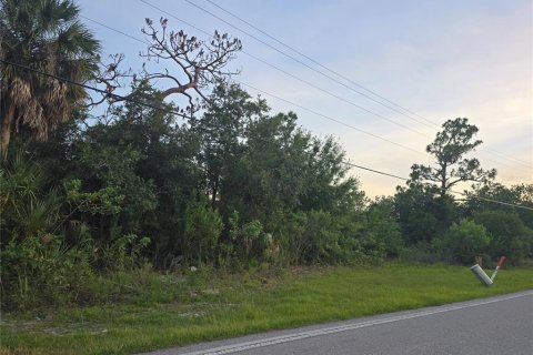 Terrain à vendre à Punta Gorda, Floride № 2207099 - photo 4