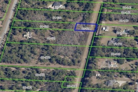 Land in Orlando, Florida № 2164242 - photo 2