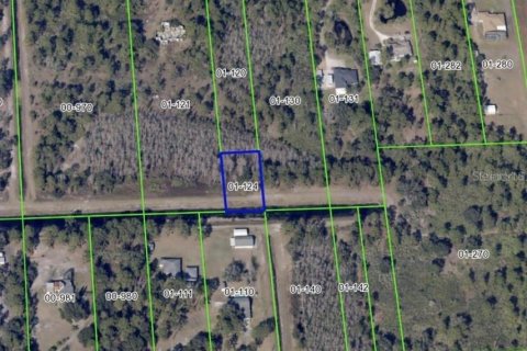 Land in Orlando, Florida № 2164242 - photo 3