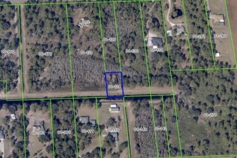 Land in Orlando, Florida № 2164242