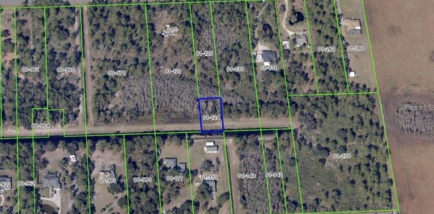 Land in Orlando, Florida № 2164242