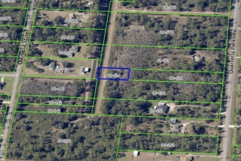 Land in Orlando, Florida № 2164242 - photo 4