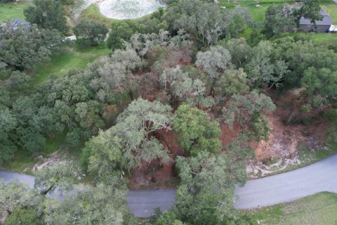 Land in Dade City, Florida № 2393402 - photo 3