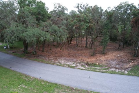 Land in Dade City, Florida № 2393402 - photo 4