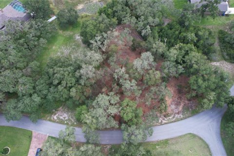 Land in Dade City, Florida № 2393402 - photo 2