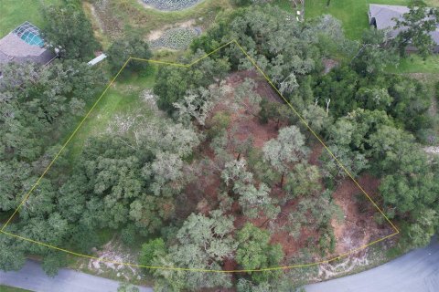 Land in Dade City, Florida № 2393402