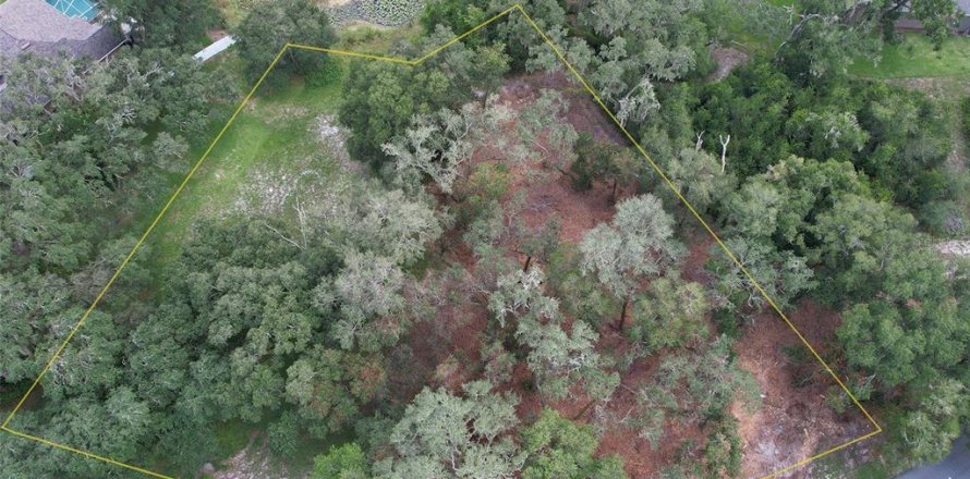Land in Dade City, Florida № 2393402