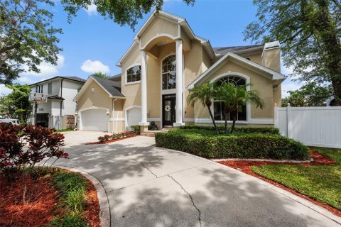 House in Tampa, Florida 5 bedrooms, 370.12 sq.m. № 1690620 - photo 3