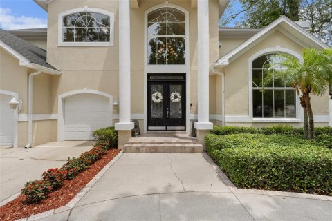 House in Tampa, Florida 5 bedrooms, 370.12 sq.m. № 1690620 - photo 4